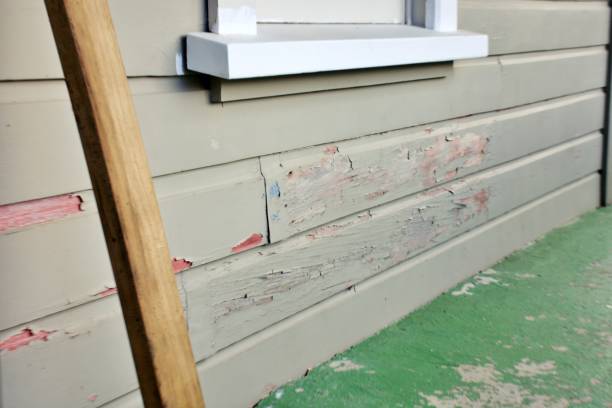 Best Residential Vinyl Siding Installation  in Los Alamos, CA